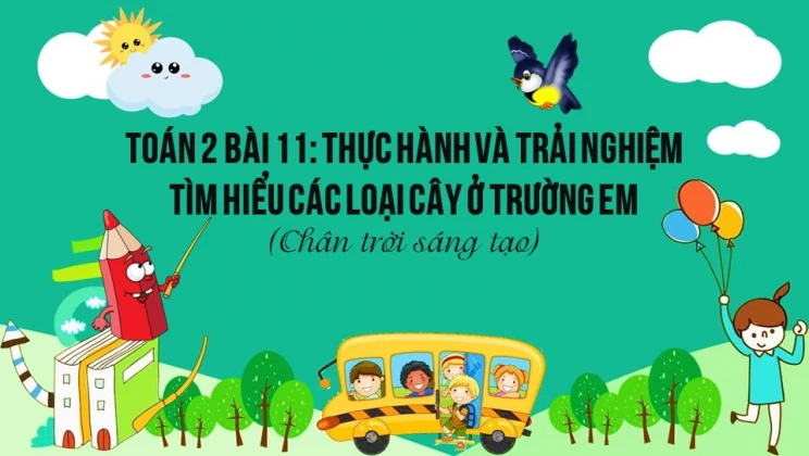 Giải Toán lớp 2 Bài 11: Thực hành và trải nghiệm: Tìm hiểu các loại cây ở trường em SGK Chân trời sáng tạo