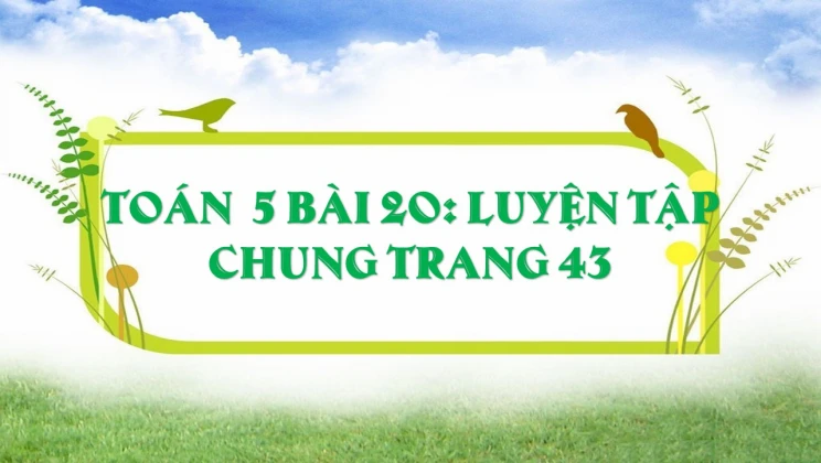 Giải Toán lớp 5 Bài 20: Luyện tập chung trang 43