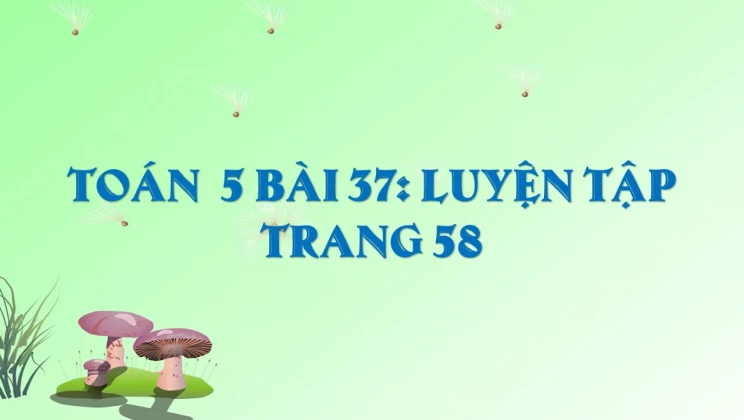 Giải Toán lớp 5 Bài 37: Luyện tập trang 58