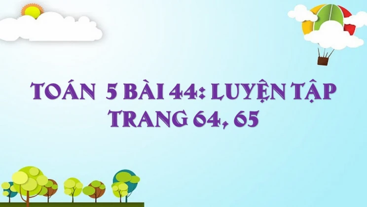 Giải Toán lớp 5 Bài 44: Luyện tập trang 64, 65