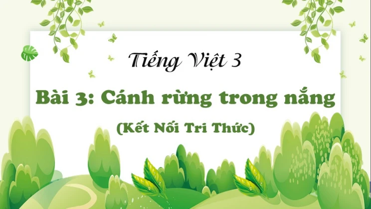 Bài 3: Cánh rừng trong nắng SGK Tiếng Việt 3 tập 1 Kết Nối Tri Thức