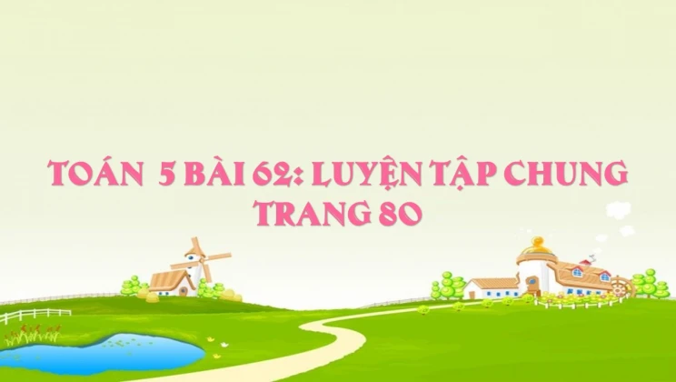 Giải Toán lớp 5 Bài 62: Luyện tập chung trang 80