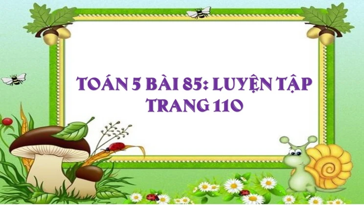 Giải Toán lớp 5 Bài 85: Luyện tập trang 110