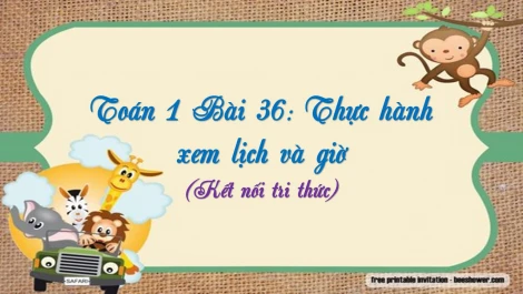 Tổng hợp 200+ bài toán tư duy lớp 2 có lời giải