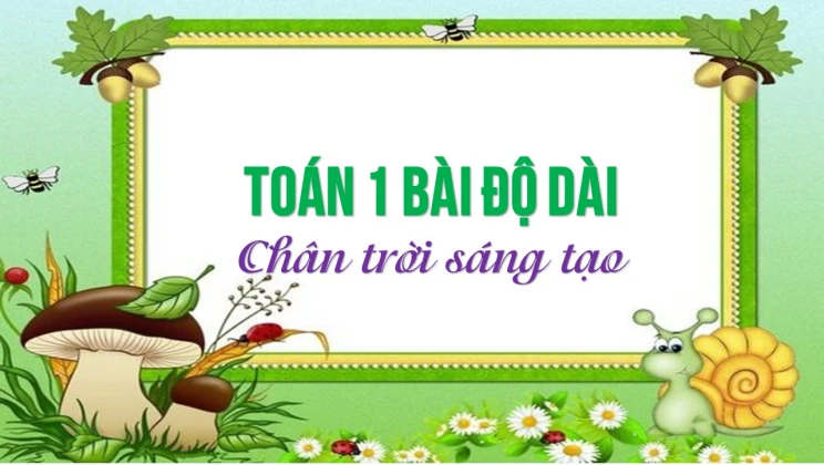 Giải Toán lớp 1 bài Độ dài SGK Chân trời sáng tạo