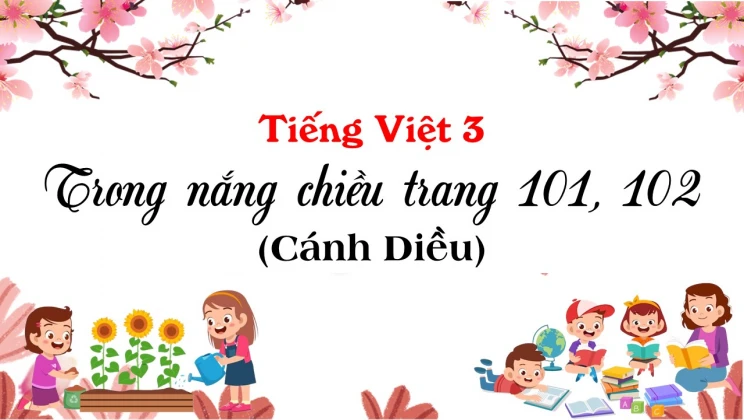 Trong nắng chiều trang 101, 102 SGK Tiếng Việt 3 tập 1 Cánh diều