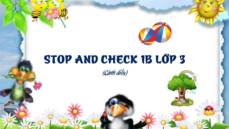 Stop And Check 1B lớp 3 Cánh diều