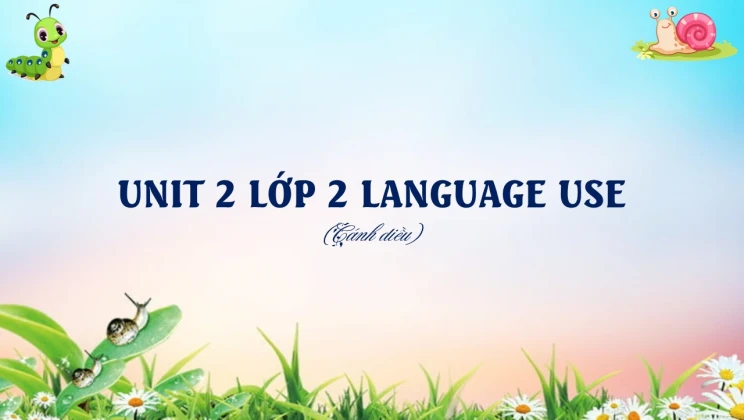 Unit 2 lớp 2 Cánh diều Language Use