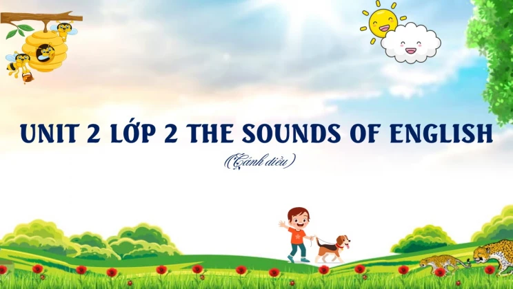 Unit 2 lớp 2 Cánh diều The sounds of English