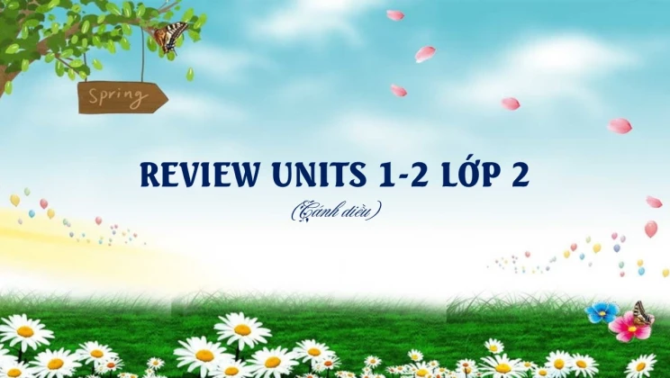 Review Units 1-2 lớp 2 Cánh diều