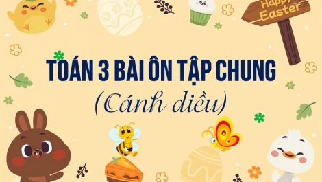 Tổng hợp 200+ bài toán tư duy lớp 2 có lời giải