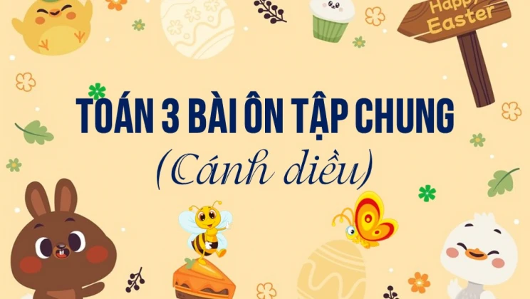 Giải Toán lớp 3 Bài: Ôn tập chung trang 113 SGK Cánh diều tập 2