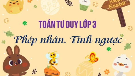 Tổng hợp 200+ bài toán tư duy lớp 2 có lời giải