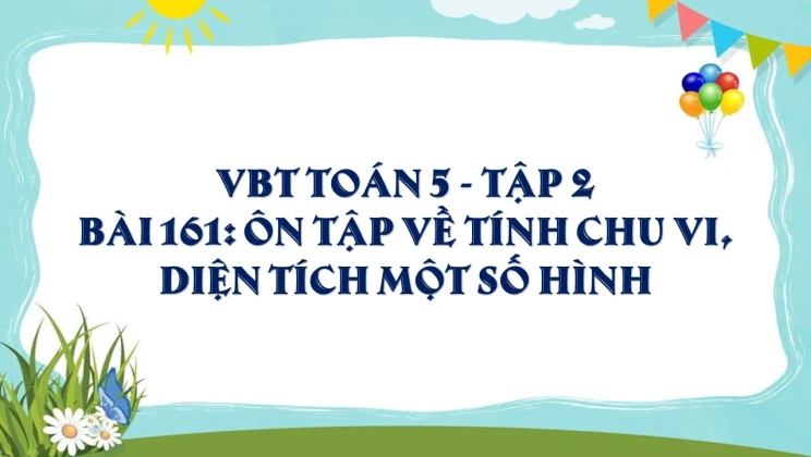 Giải VBT Toán lớp 5 Bài 161: Ôn tập về tính diện tích, thể tích một số hình tập 2