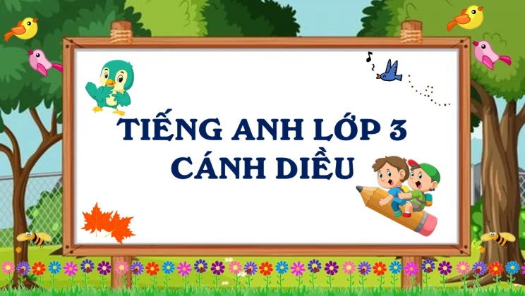 Tiếng Anh lớp 3 Cánh Diều